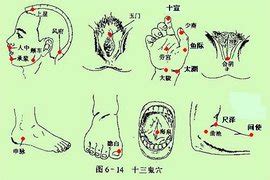 鞭穴